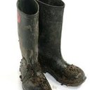 Bertie Wilson - @bigbertiewilson - Twitter