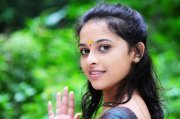 Design Inspiration and Photography Lover