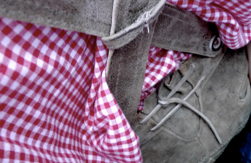 berg_bauer's profile picture. 