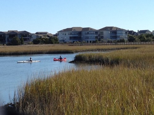 PattiString's profile picture. 