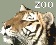 isleofwightzoo's profile picture. Home to Britain's largest collection of tigers, this award winning zoo has been a dedicated ally to the tiger for over a quarter of a century. The Zoo also care