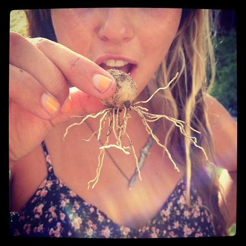 AshleyTryba's profile picture. uhsahdude ✌️