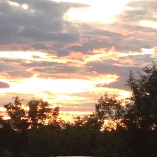 MeowAngus's profile picture. 