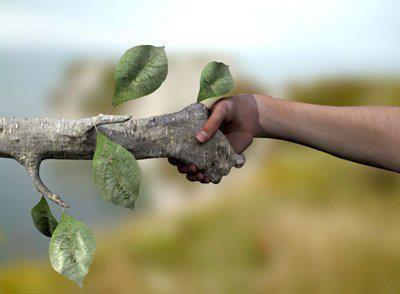 Territoire et environnement