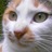 10_hiroshi_21's profile image