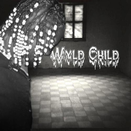 The Official Twitter Page of Chicago's upcoming music producer, Wyld Child of Wyld Child Productionz