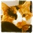 pekrack's profile image