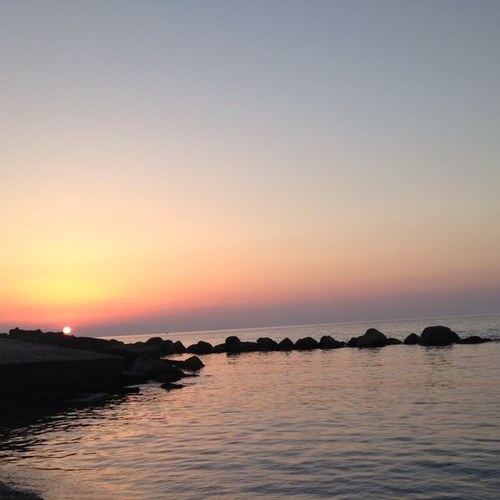 massimosofi's profile picture. 