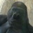 victorvg117's profile image