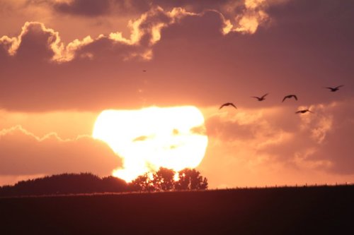 I try to make everyone happy even if it means sharing a little sadness.