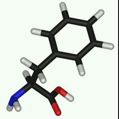 phe_no_menal_fd's profile picture. Our mission is to bring the best quality Low Protein products at the lowest possible prices; it should never have to be a choice between one or the other!