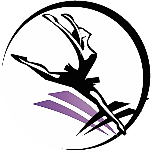 Make your dance dreams come true at Elite Academy of Dance. Your child will shine on the dance floor in ballet, tap and jazz.