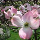 Michele Seidel - @mdseidel - Twitter