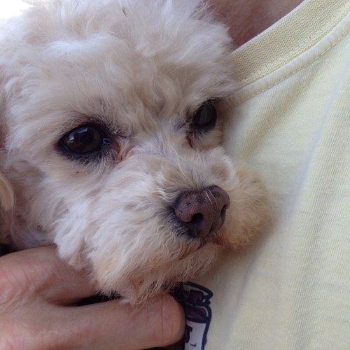 TerriGilreath's profile picture. 