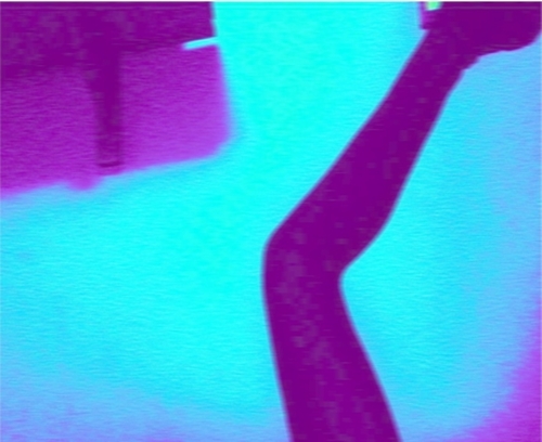 dianaramirez's profile picture. 