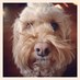 Betsy Lockhart (@cricket178) Twitter profile photo Betsy Lockhart (@cricket178) Twitter profile photo