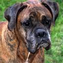 Mark Perron - @trajikstuff - Twitter