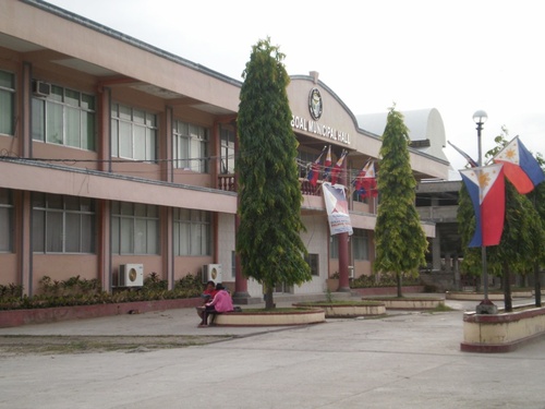 moalboal's profile picture. 