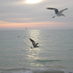 Fred (@nursemiami) Twitter profile photo