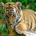 Ally Lee Schneider - @BoredPerson2009 - Twitter