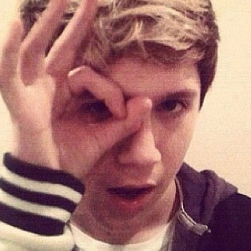 jujuheart1d's profile picture. i love 1d... if they follow me expeshialy niall, i will cry cause of how much i love them