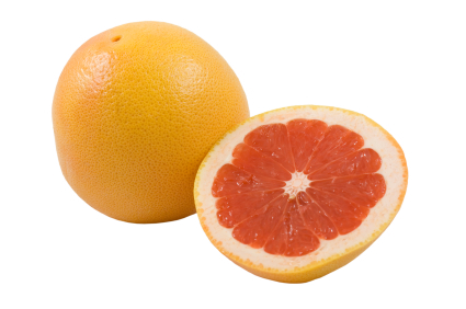 probioticz's profile picture. 