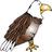 ElkinEagles's profile image