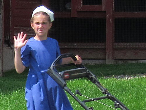 Amish Girl Problems.