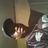 97_curtis's profile image