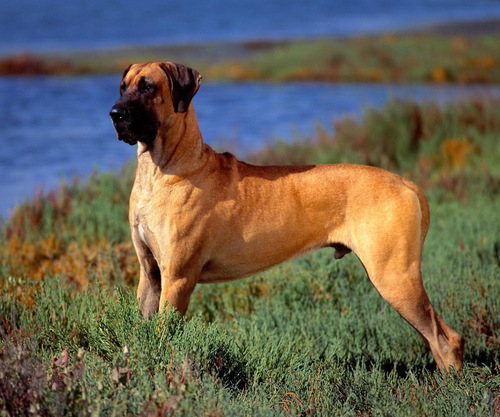 20_shammy's profile picture. 