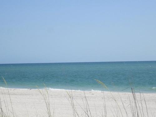 keiswurg26's profile picture. Elementary Literacy Coach