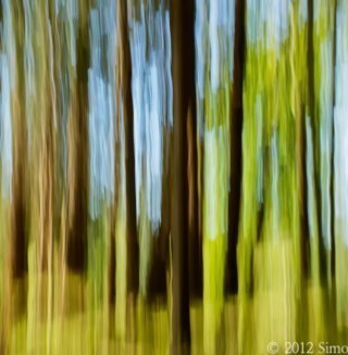 SimonChristoff1's profile picture. 