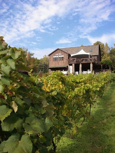 Ithaca's Very Own Winery! 
Come check out our great selection of 17 fine wines, our spirits and gorges view!