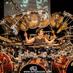 Terry Bozzio Official (@terrybozzio) Twitter profile photo