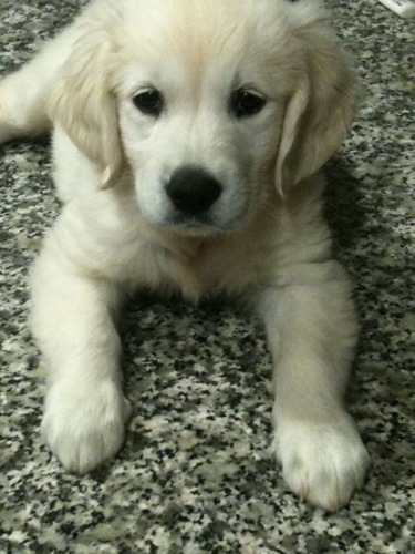 _bubbled's profile picture. 