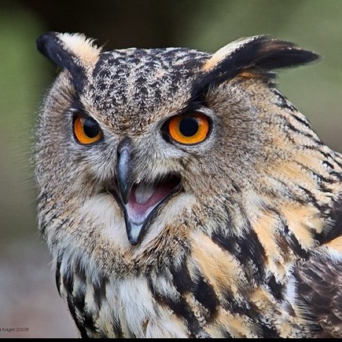 marmag4's profile picture. 