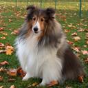 Corrin Miller - @LadySpence - Twitter