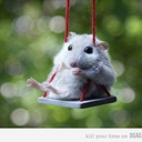 Silvia Rossi - @RSilvix - Twitter