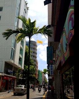 auxxam's profile picture. 