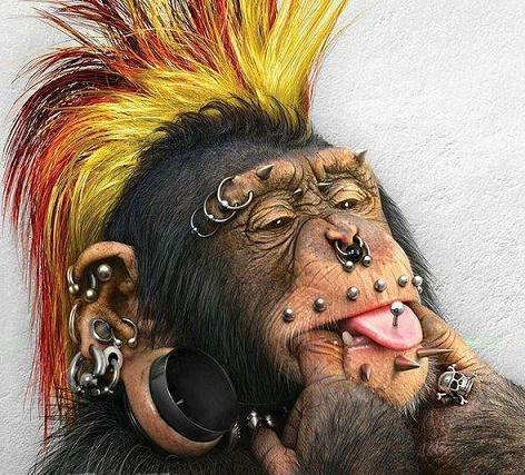 Homo Numericus Profile