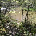 michelle moreland - @Mammamoosh - Twitter