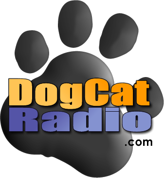 DogCatRadio's profile picture. The radio station all pets enjoy.