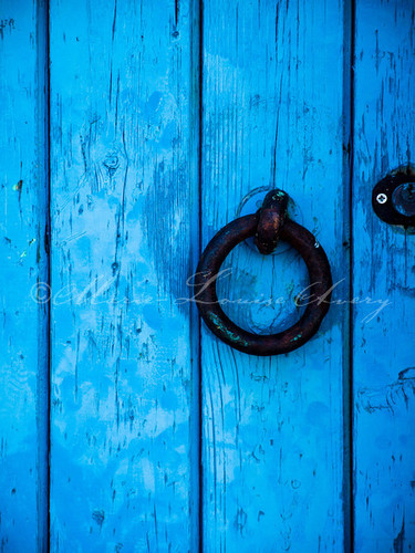 AArm339's profile picture. 