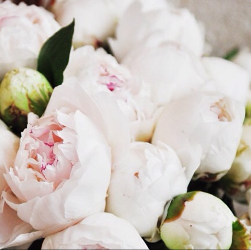 MaryamAlArif's profile picture. 