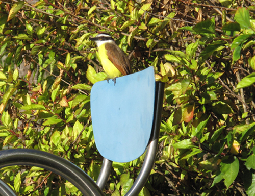 cristinazancani's profile picture. 