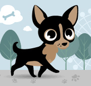 Come explore the ultimate community for lovers of chihuahuas! A pocketful of adorable love!#dogs#chihuahua#pets