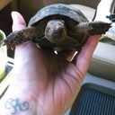 Connie Parker - @4yourintuition - Twitter