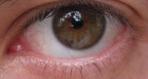 darthnoir's profile picture. he/him