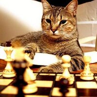 ChessQuotes(@chess_chat) 's Twitter Profileg