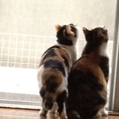 hcm7181's profile picture. 